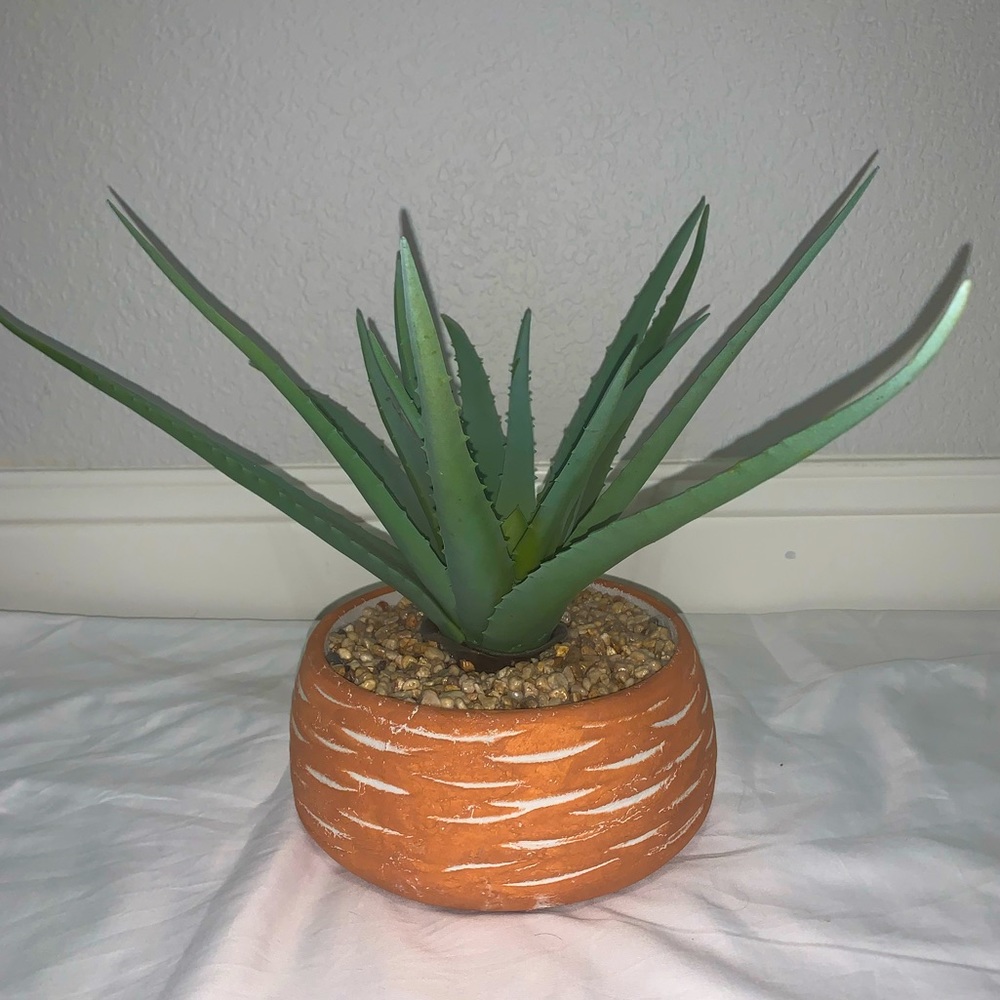 terracotta-orange vase with white details